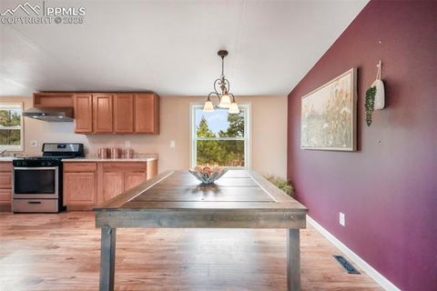 Tiny photo for 696 Calle De La Nieva, Florissant, CO 80816 (MLS # 5160262)