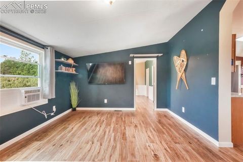 Tiny photo for 696 Calle De La Nieva, Florissant, CO 80816 (MLS # 5160262)