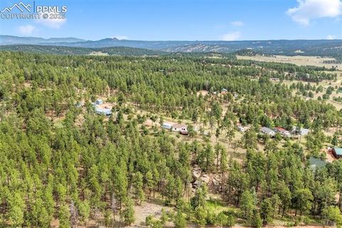 Tiny photo for 696 Calle De La Nieva, Florissant, CO 80816 (MLS # 5160262)