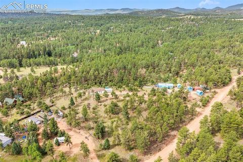 Tiny photo for 696 Calle De La Nieva, Florissant, CO 80816 (MLS # 5160262)