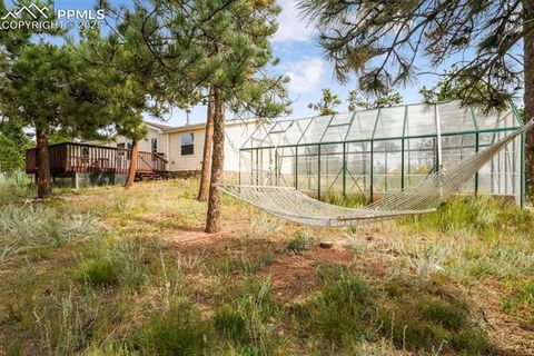 Tiny photo for 696 Calle De La Nieva, Florissant, CO 80816 (MLS # 5160262)