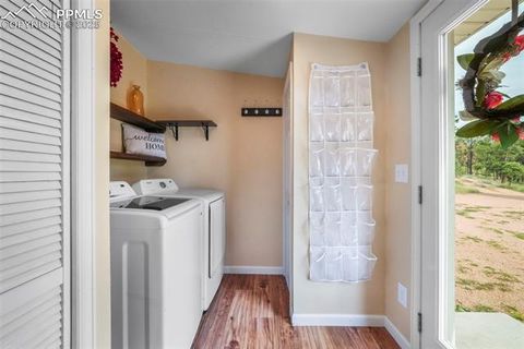 Tiny photo for 696 Calle De La Nieva, Florissant, CO 80816 (MLS # 5160262)