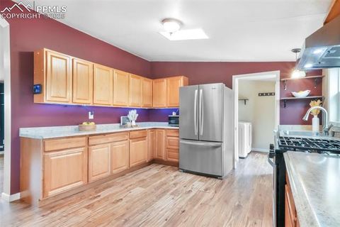 Tiny photo for 696 Calle De La Nieva, Florissant, CO 80816 (MLS # 5160262)