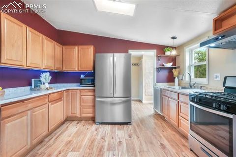 Tiny photo for 696 Calle De La Nieva, Florissant, CO 80816 (MLS # 5160262)