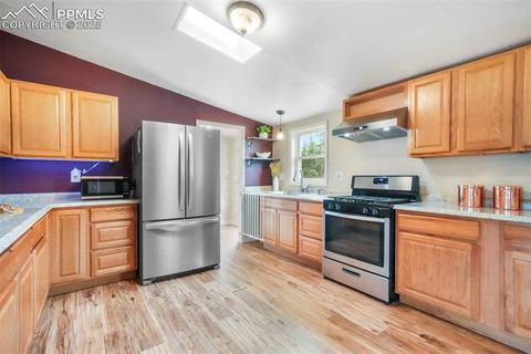 Tiny photo for 696 Calle De La Nieva, Florissant, CO 80816 (MLS # 5160262)