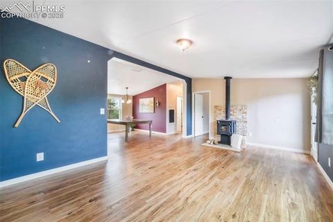 Tiny photo for 696 Calle De La Nieva, Florissant, CO 80816 (MLS # 5160262)