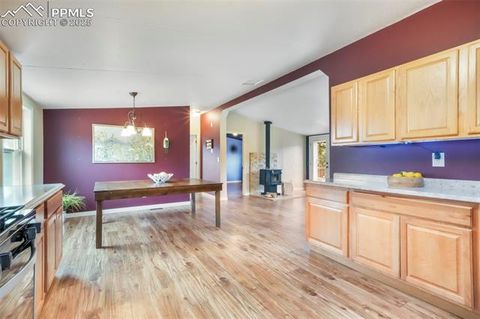 Tiny photo for 696 Calle De La Nieva, Florissant, CO 80816 (MLS # 5160262)