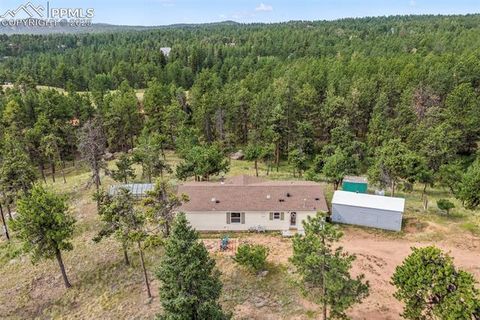 Photo of 696 Calle De La Nieva, Florissant, CO 80816 (MLS # 5160262)