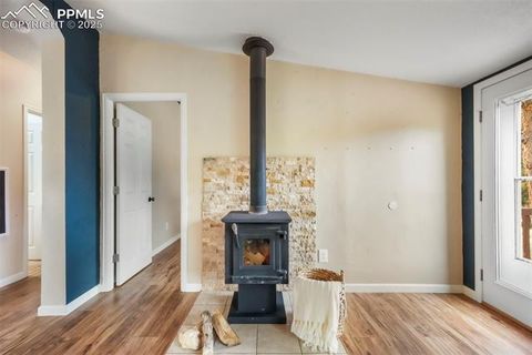 Tiny photo for 696 Calle De La Nieva, Florissant, CO 80816 (MLS # 5160262)