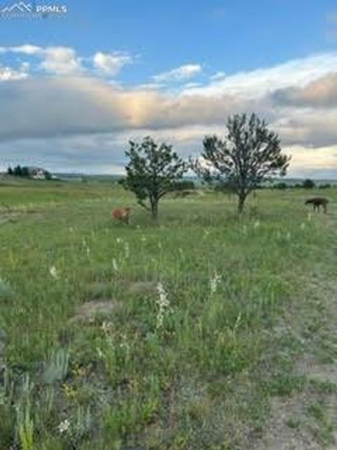 Tiny photo for 5449 Haes Haven View, Colorado Springs, CO 80908 (MLS # 6696071)