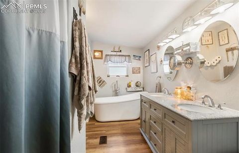 Tiny photo for 2028 Crystal Peak Drive, Lake George, CO 80827 (MLS # 4526745)