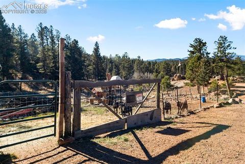 Tiny photo for 2028 Crystal Peak Drive, Lake George, CO 80827 (MLS # 4526745)