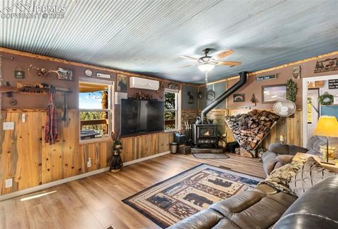 Tiny photo for 2028 Crystal Peak Drive, Lake George, CO 80827 (MLS # 4526745)