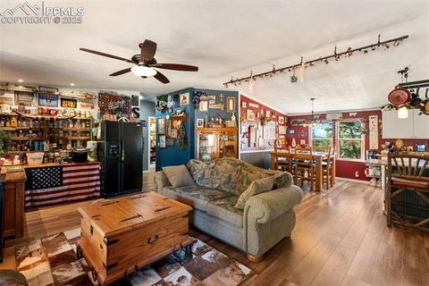Tiny photo for 2028 Crystal Peak Drive, Lake George, CO 80827 (MLS # 4526745)