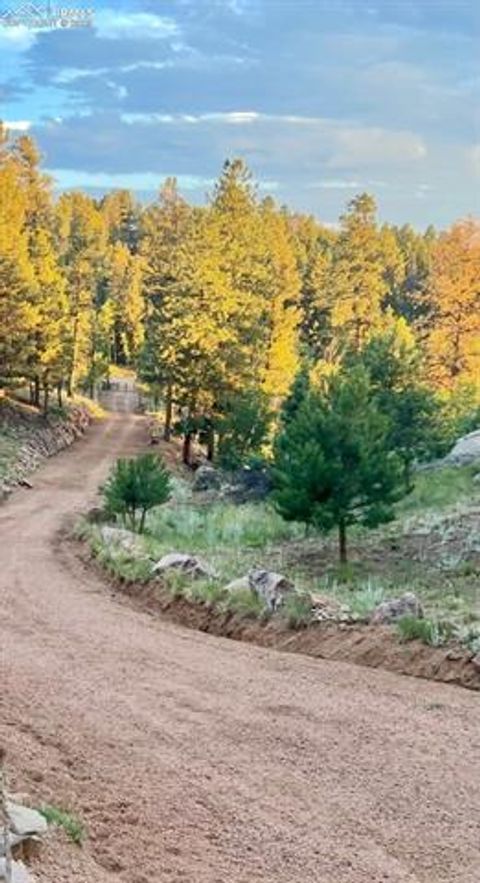 Tiny photo for 2028 Crystal Peak Drive, Lake George, CO 80827 (MLS # 4526745)