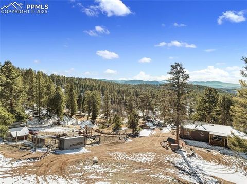 Tiny photo for 2028 Crystal Peak Drive, Lake George, CO 80827 (MLS # 4526745)