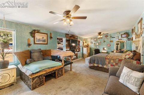 Tiny photo for 2028 Crystal Peak Drive, Lake George, CO 80827 (MLS # 4526745)