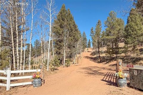Tiny photo for 2028 Crystal Peak Drive, Lake George, CO 80827 (MLS # 4526745)