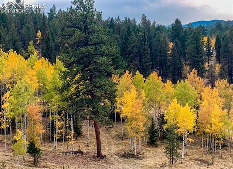 Tiny photo for 2028 Crystal Peak Drive, Lake George, CO 80827 (MLS # 4526745)