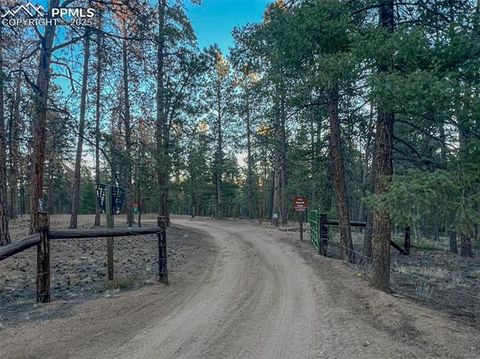 Tiny photo for 2028 Crystal Peak Drive, Lake George, CO 80827 (MLS # 4526745)