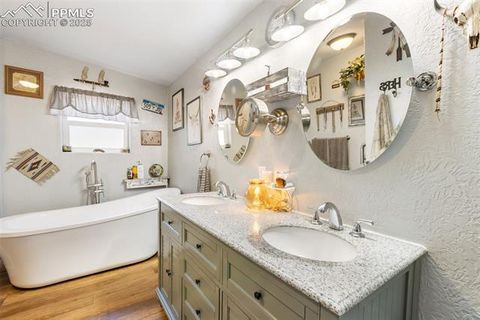 Tiny photo for 2028 Crystal Peak Drive, Lake George, CO 80827 (MLS # 4526745)