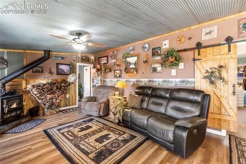 Tiny photo for 2028 Crystal Peak Drive, Lake George, CO 80827 (MLS # 4526745)