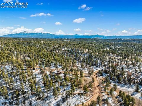 Tiny photo for 2028 Crystal Peak Drive, Lake George, CO 80827 (MLS # 4526745)