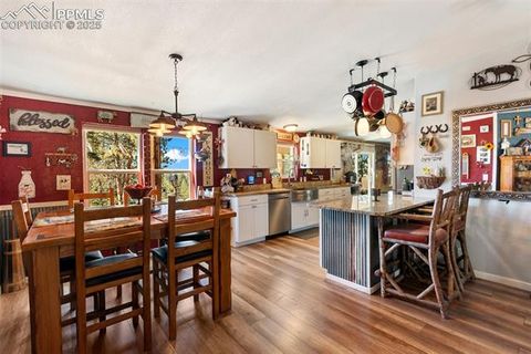 Tiny photo for 2028 Crystal Peak Drive, Lake George, CO 80827 (MLS # 4526745)