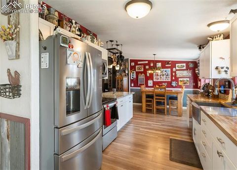 Tiny photo for 2028 Crystal Peak Drive, Lake George, CO 80827 (MLS # 4526745)