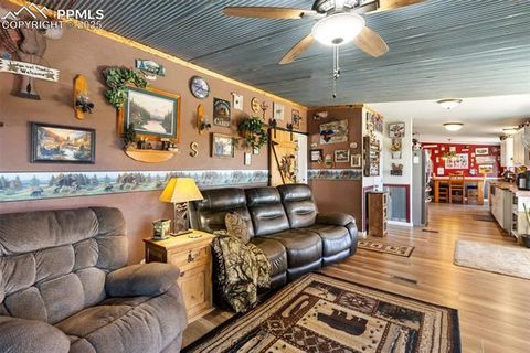 Tiny photo for 2028 Crystal Peak Drive, Lake George, CO 80827 (MLS # 4526745)