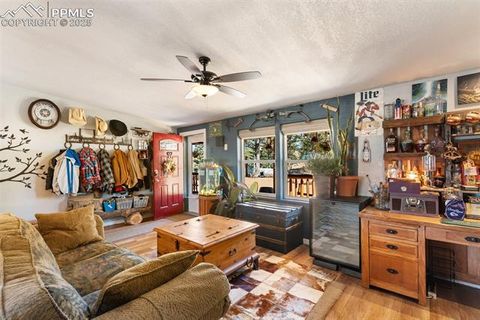 Tiny photo for 2028 Crystal Peak Drive, Lake George, CO 80827 (MLS # 4526745)