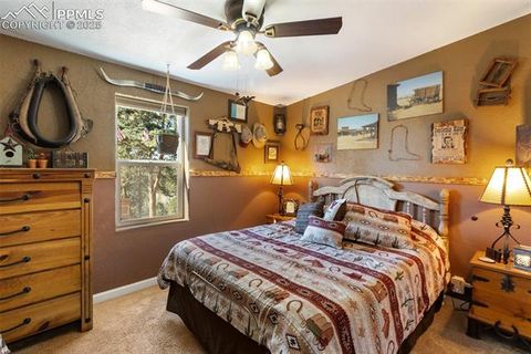 Tiny photo for 2028 Crystal Peak Drive, Lake George, CO 80827 (MLS # 4526745)