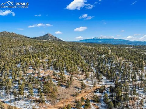 Tiny photo for 2028 Crystal Peak Drive, Lake George, CO 80827 (MLS # 4526745)