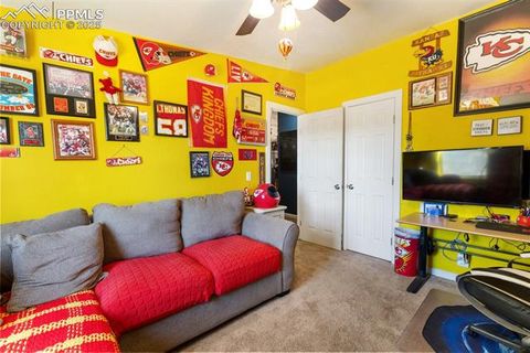 Tiny photo for 2028 Crystal Peak Drive, Lake George, CO 80827 (MLS # 4526745)