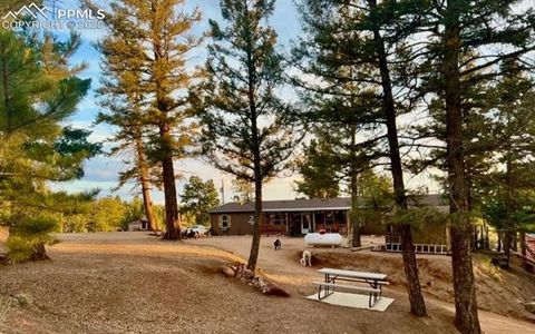 Tiny photo for 2028 Crystal Peak Drive, Lake George, CO 80827 (MLS # 4526745)