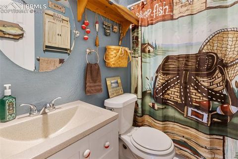 Tiny photo for 2028 Crystal Peak Drive, Lake George, CO 80827 (MLS # 4526745)