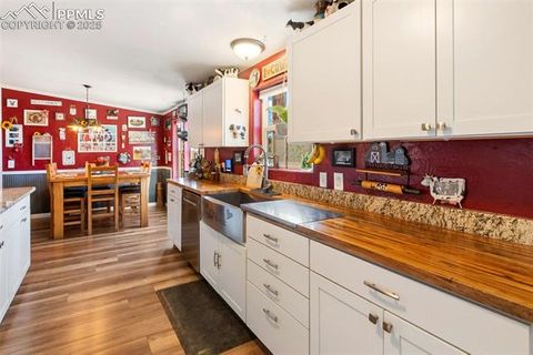 Tiny photo for 2028 Crystal Peak Drive, Lake George, CO 80827 (MLS # 4526745)