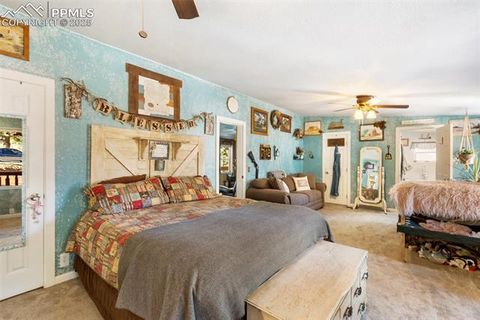 Tiny photo for 2028 Crystal Peak Drive, Lake George, CO 80827 (MLS # 4526745)