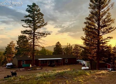 Tiny photo for 2028 Crystal Peak Drive, Lake George, CO 80827 (MLS # 4526745)