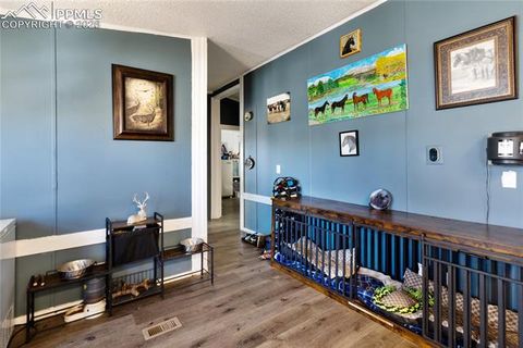 Tiny photo for 311 W Eaton Avenue, Cripple Creek, CO 80813 (MLS # 5655266)