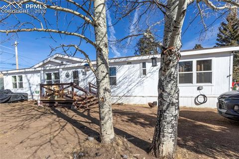 Photo of 311 W Eaton Avenue, Cripple Creek, CO 80813 (MLS # 5655266)
