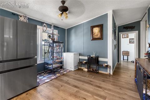 Tiny photo for 311 W Eaton Avenue, Cripple Creek, CO 80813 (MLS # 5655266)