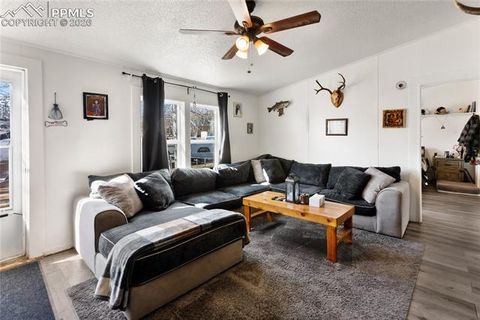 Tiny photo for 311 W Eaton Avenue, Cripple Creek, CO 80813 (MLS # 5655266)