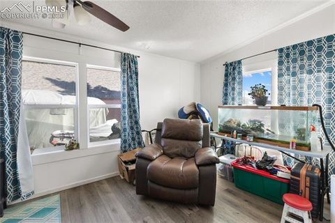 Tiny photo for 311 W Eaton Avenue, Cripple Creek, CO 80813 (MLS # 5655266)
