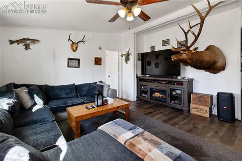 Tiny photo for 311 W Eaton Avenue, Cripple Creek, CO 80813 (MLS # 5655266)