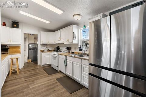 Tiny photo for 311 W Eaton Avenue, Cripple Creek, CO 80813 (MLS # 5655266)