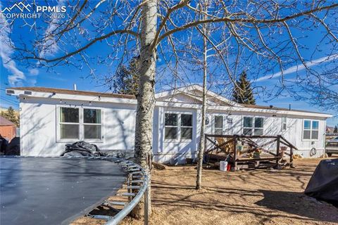 Tiny photo for 311 W Eaton Avenue, Cripple Creek, CO 80813 (MLS # 5655266)