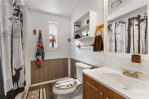 Tiny photo for 311 W Eaton Avenue, Cripple Creek, CO 80813 (MLS # 5655266)