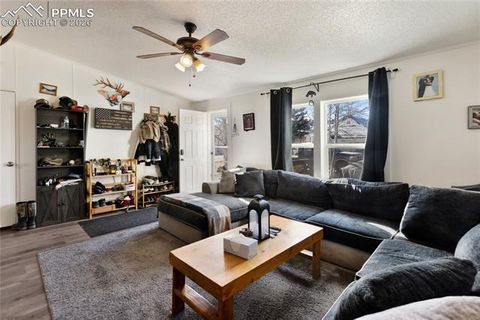 Tiny photo for 311 W Eaton Avenue, Cripple Creek, CO 80813 (MLS # 5655266)
