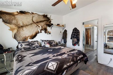 Tiny photo for 311 W Eaton Avenue, Cripple Creek, CO 80813 (MLS # 5655266)